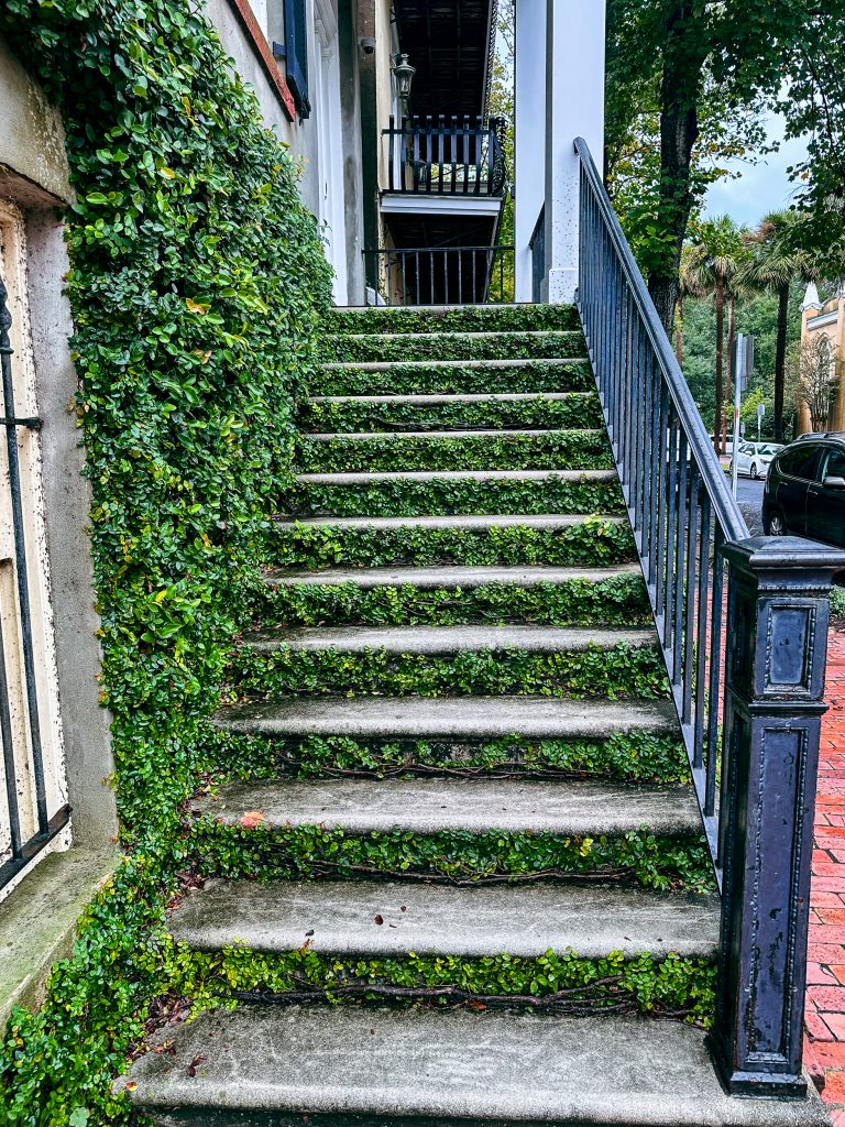 Ground covered stairs in Savannah, Georgia