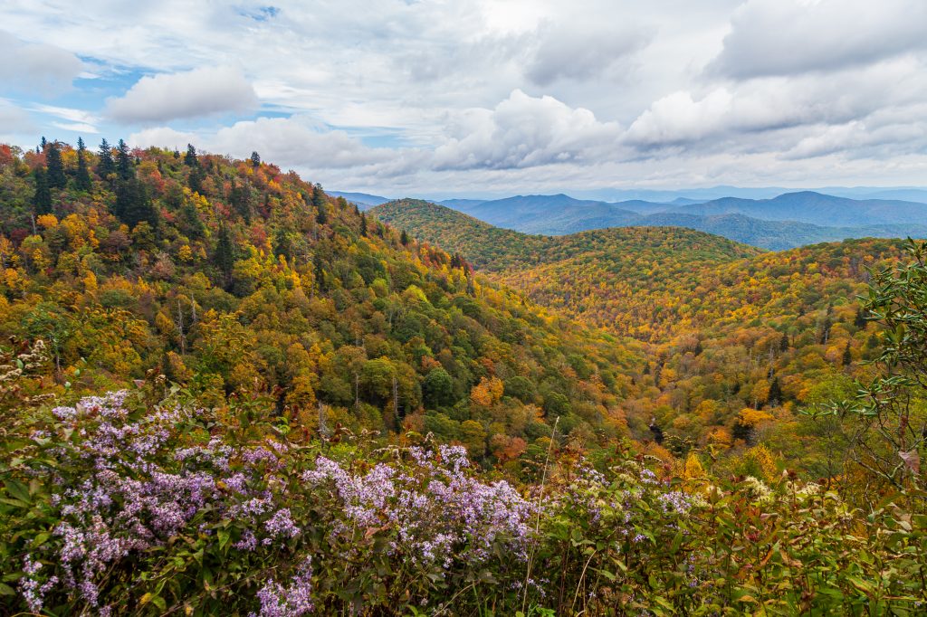 Autumn in the Blue Ridge Mountains with golden, yellow, orange, red, and green fall foliage in Pisgah National Forest, North Carolina